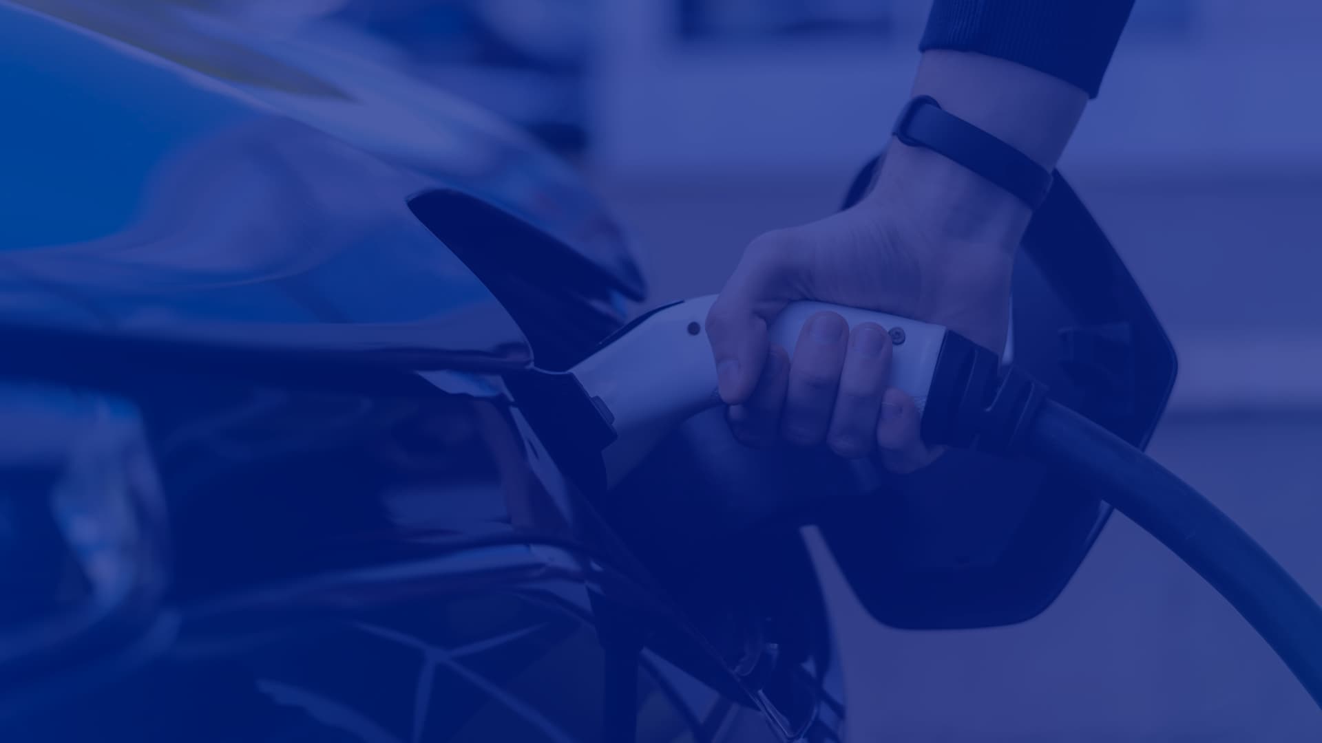 Looking to become our media partner?