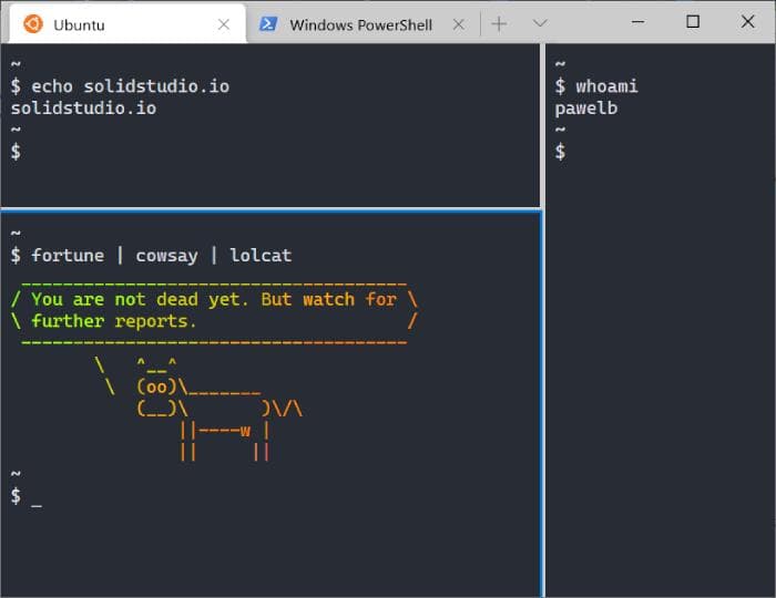 wsl windows-terminal